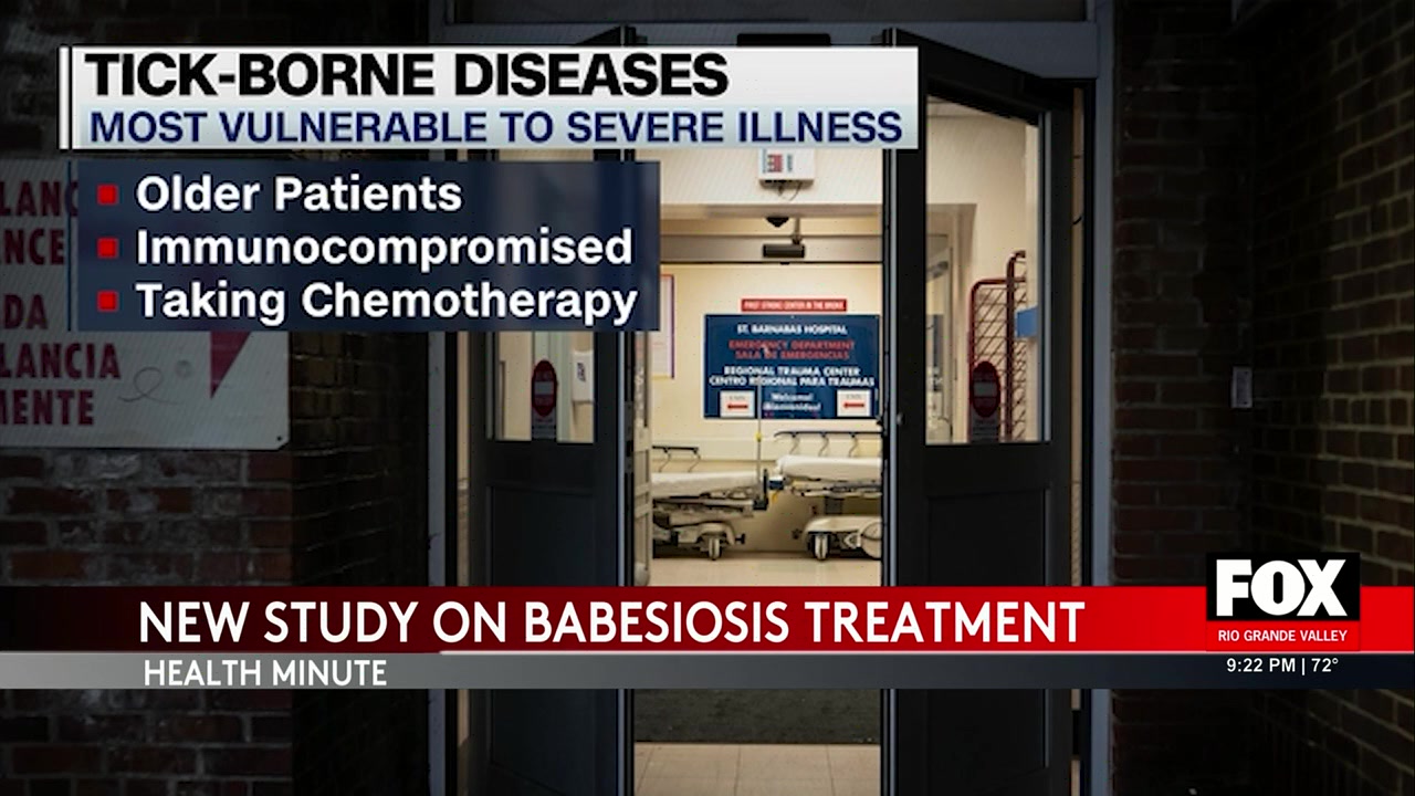 Tick Rgv Innovative Treatment For Tick-Borne Illness Emerges | FOX RGV
