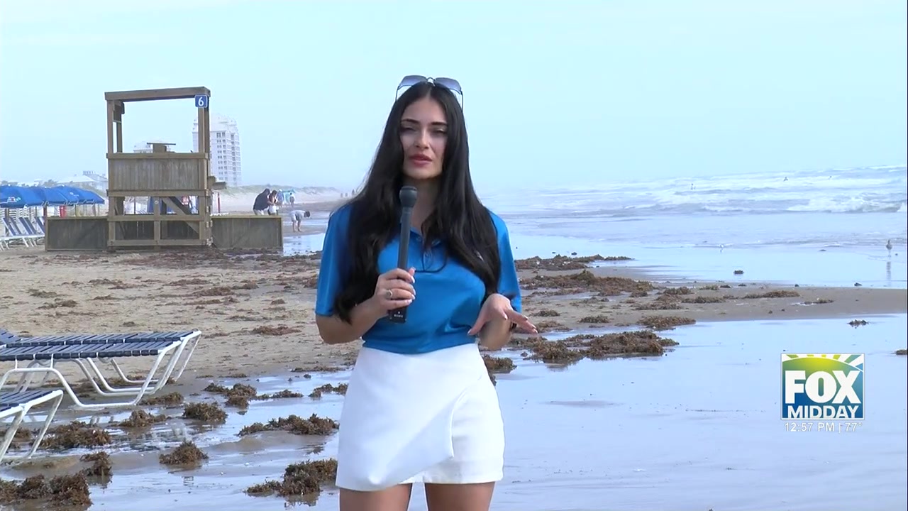 Hurricane Preparedness: Hurricane Preparations Underway At South Padre Island Conference