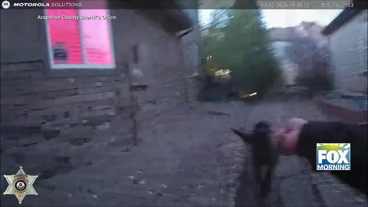 Quick-Thinking Police Dog Finds Missing Girl