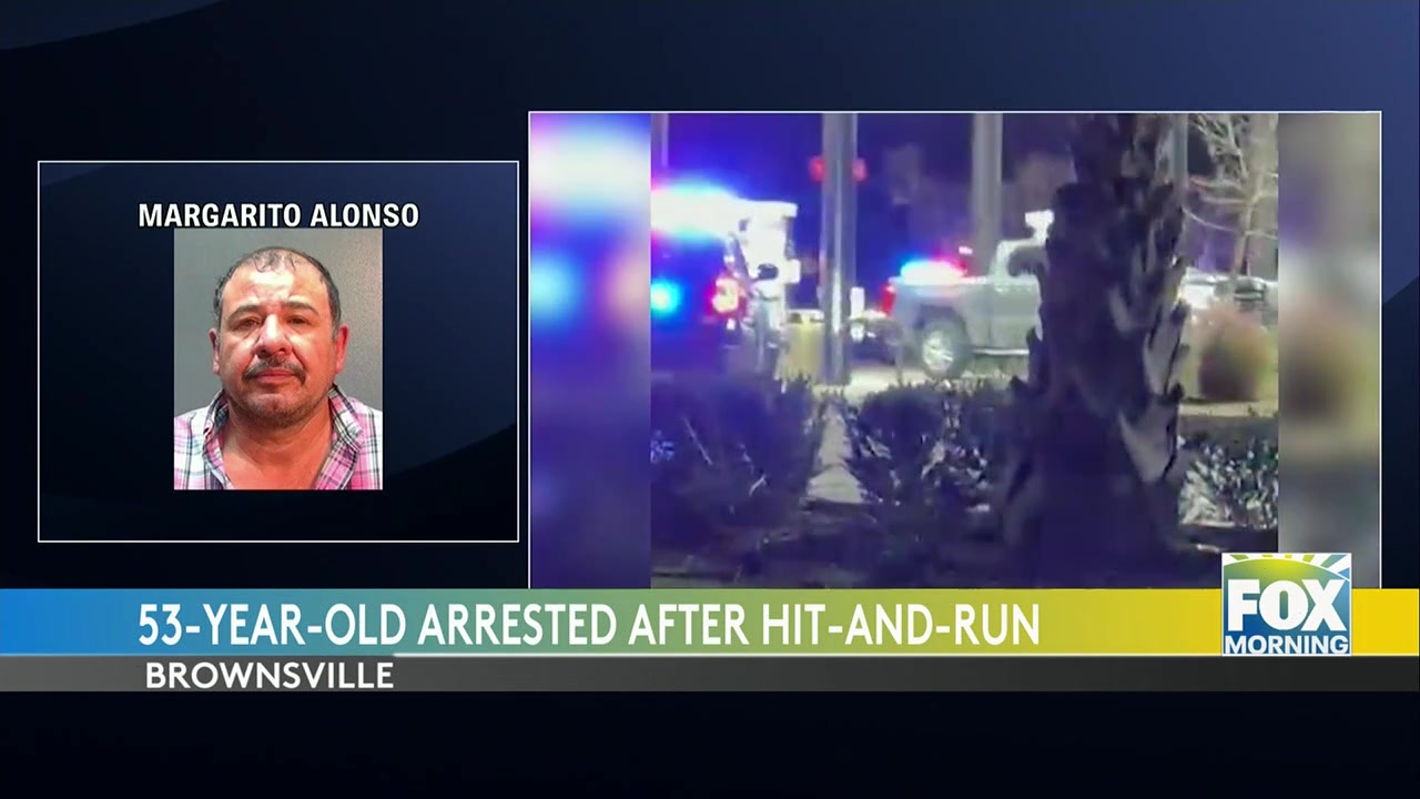 Brownsville Hit-and-Run: Suspect Arrested After Brief Police Chase