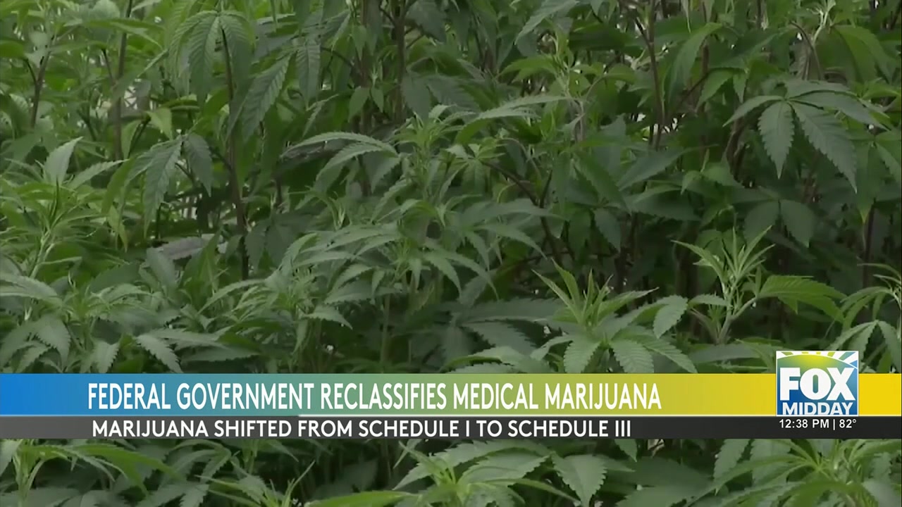 Medical Marijuana Reclassification: Landmark Federal Move: Medical Marijuana To Be Reclassified Under Schedule III