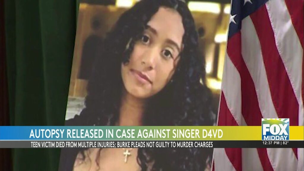 Celeste Rivas Hernandez: Autopsy: Singer Arrested After Remains Of Teen ...