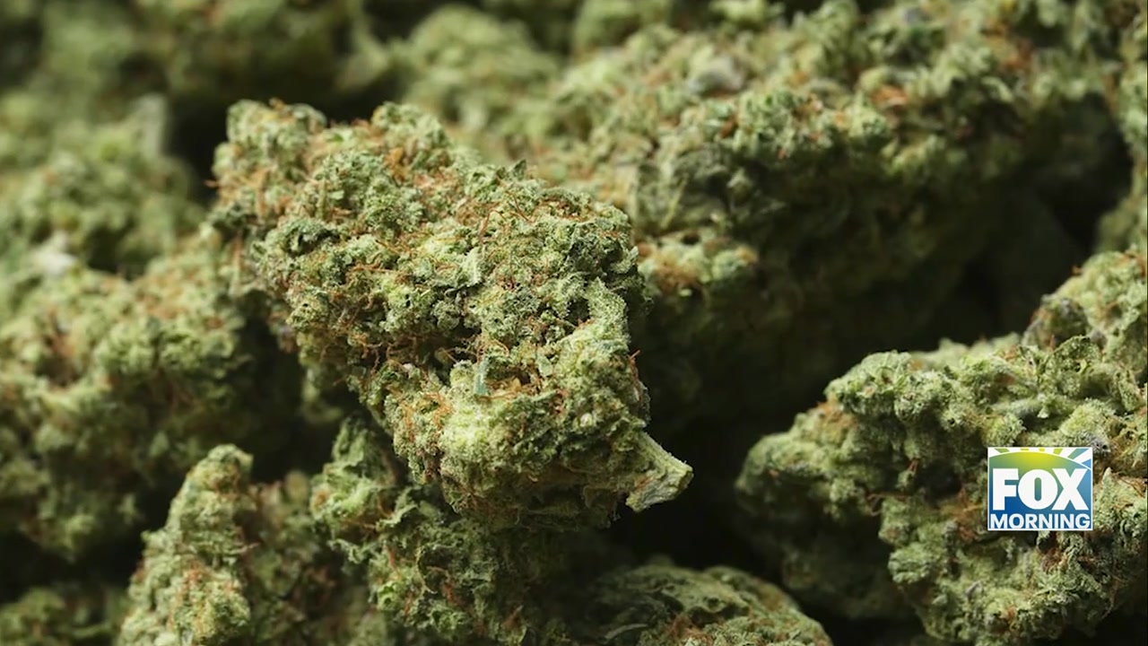 Federal Government Reclassifies Medical Marijuana, Paving Way For Research And Reform