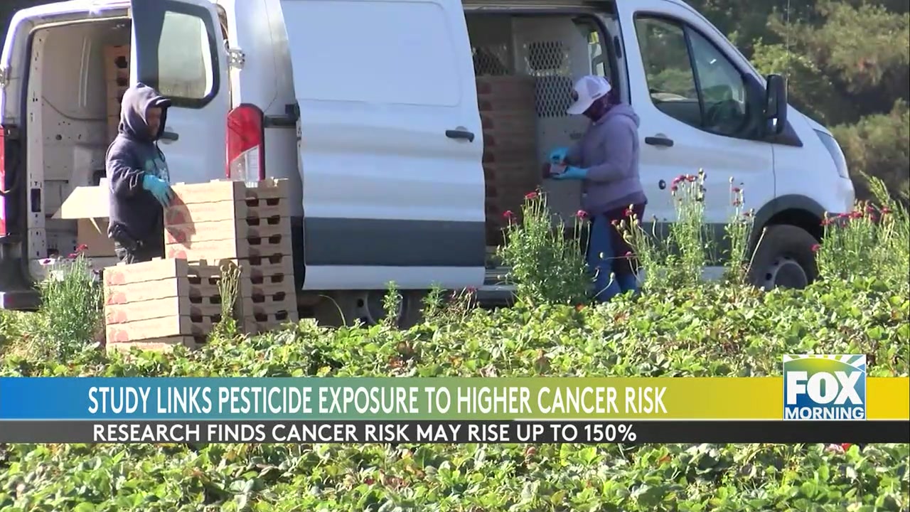 New Study Links High Pesticide Exposure To Increased Cancer Risk In Rural Communities