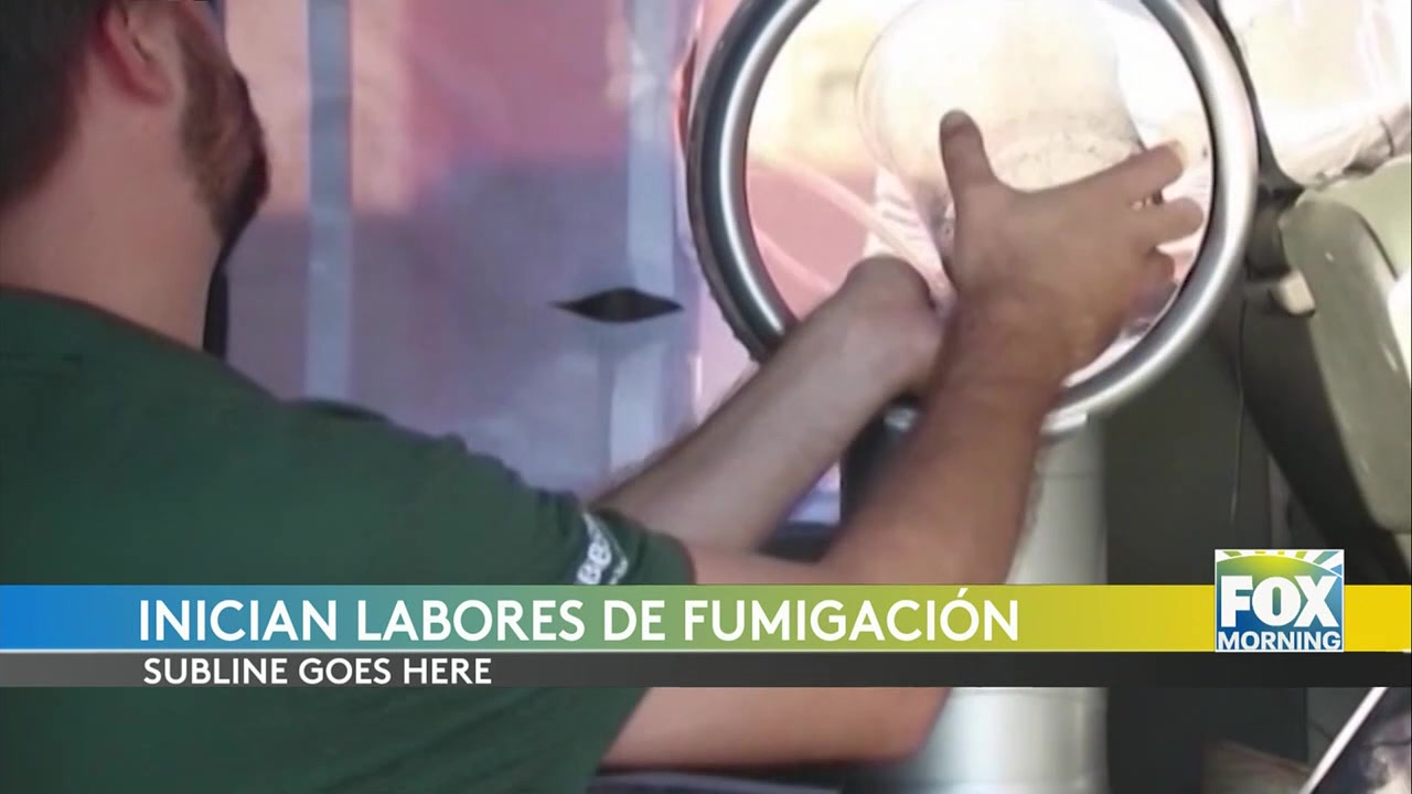 Weslaco Fumigation: City Of Weslaco Initiates Citywide Fumigation Efforts To Safeguard Public Health