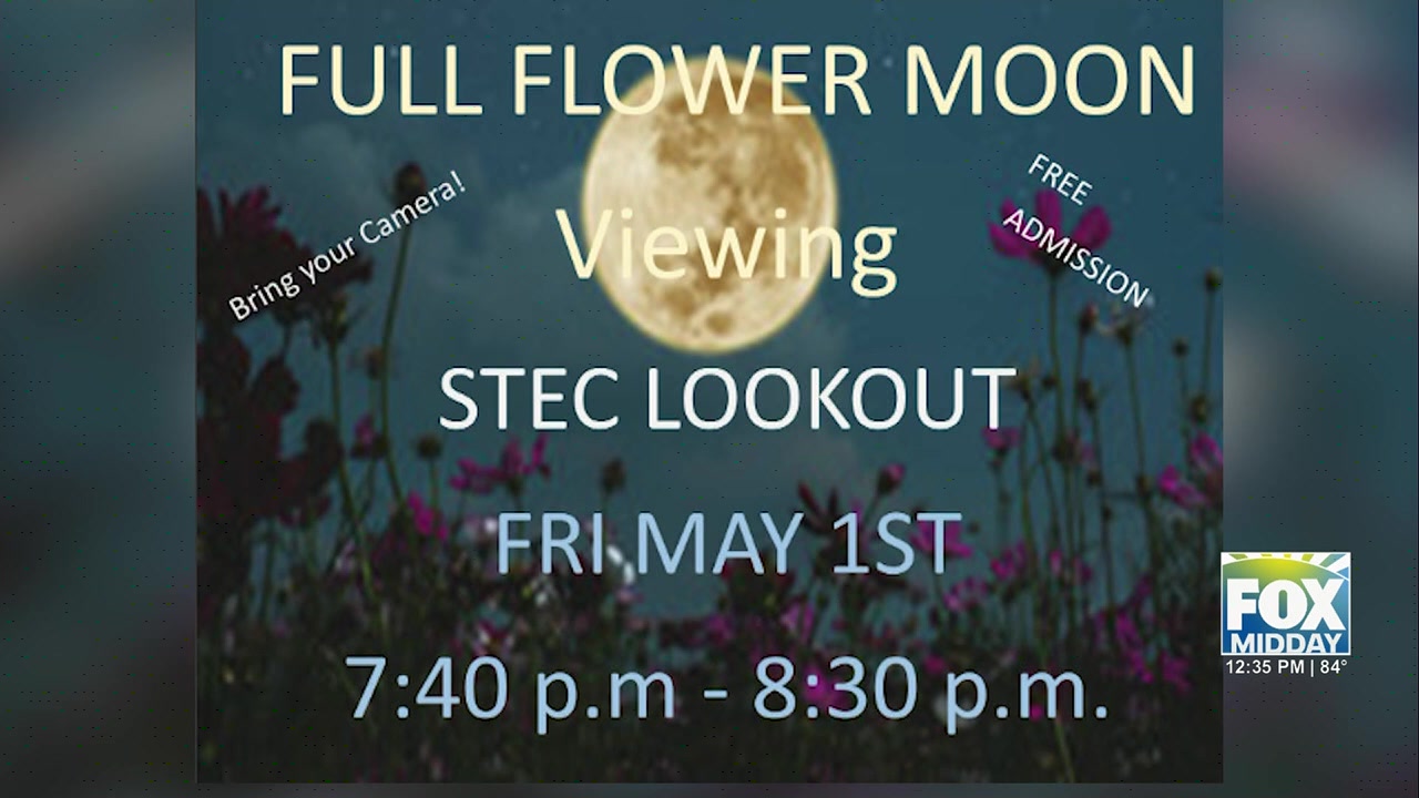 Laguna Vista Events: Laguna Vista Ecotourism Center Hosts Family Events Under Rare Flower Moon