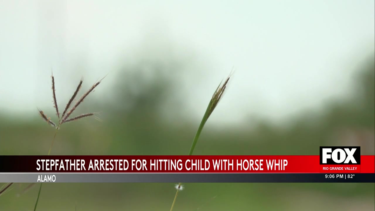 Man Arrested In Alamo Child Abuse Case After School Report