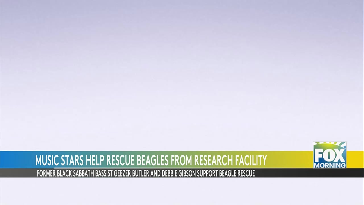 Beagle Rescue: Musical Heavyweights Help Rescue 1,500 Beagles From Research Facility