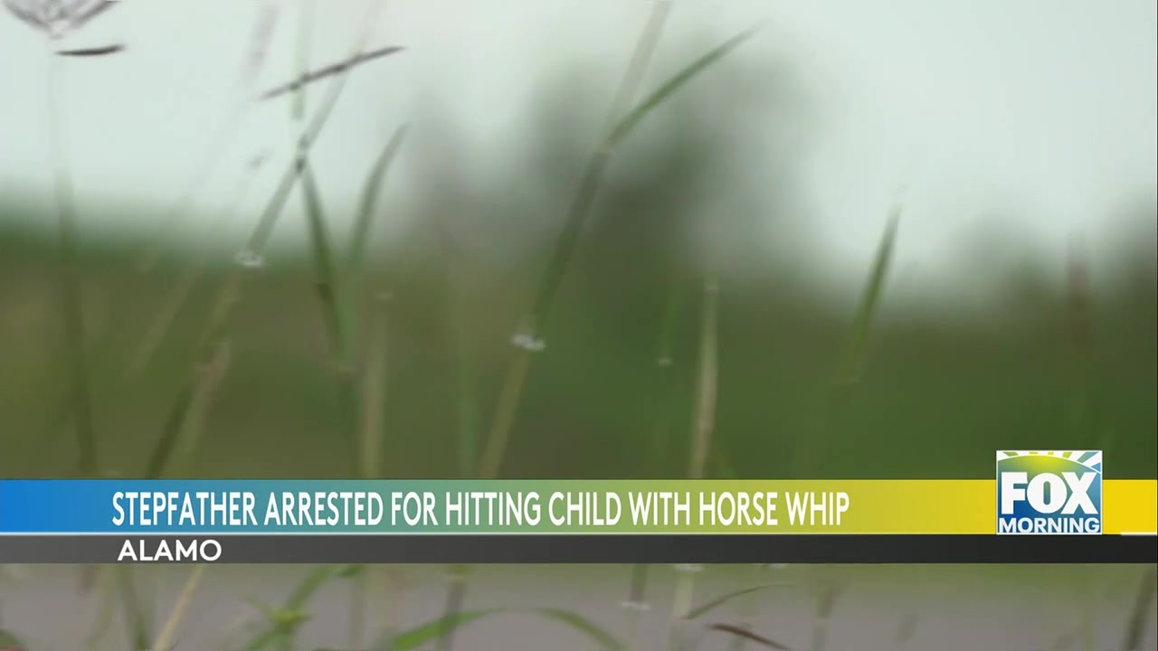 Man Arrested In Alamo Child Abuse Incident Following School Report