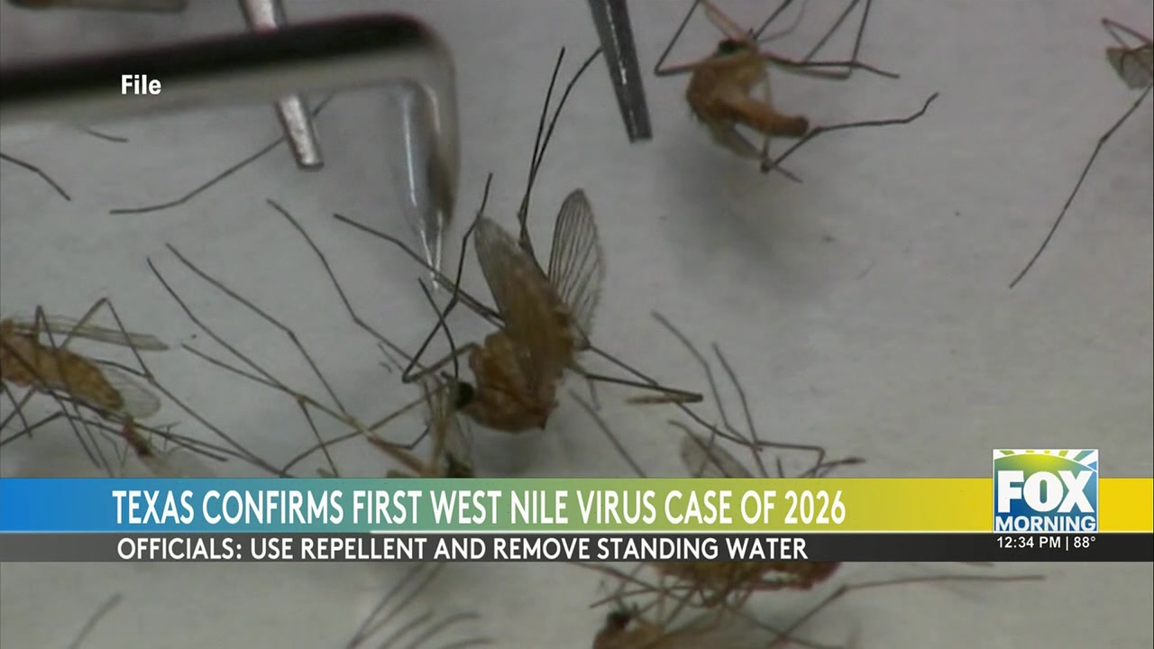 Texas West Nile Case: Texas Reports First West Nile Virus Case Of 2024 In Harris County