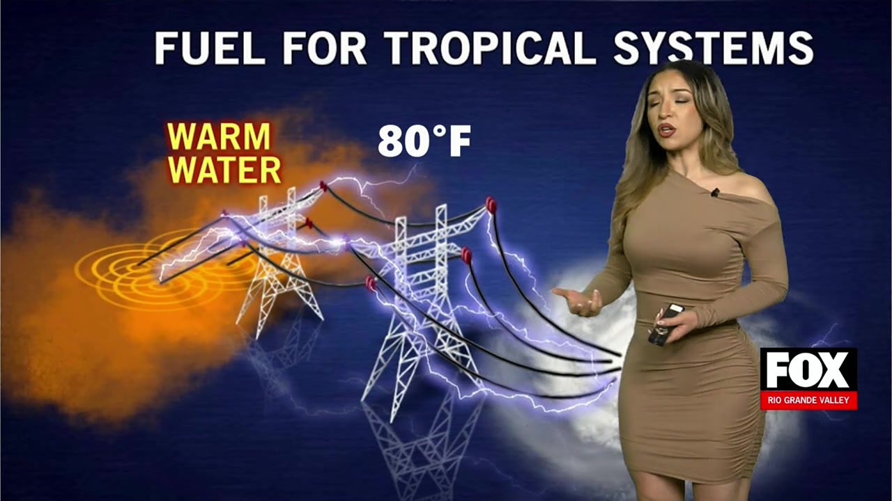 Expert Guide: How To Prepare For Hurricane Season In Texas