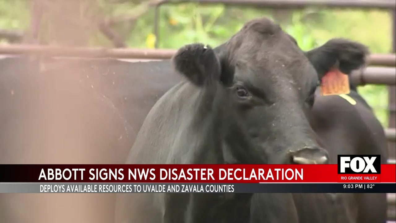 Governor Abbott Declares Disaster Over New World Screw-Worm Outbreak