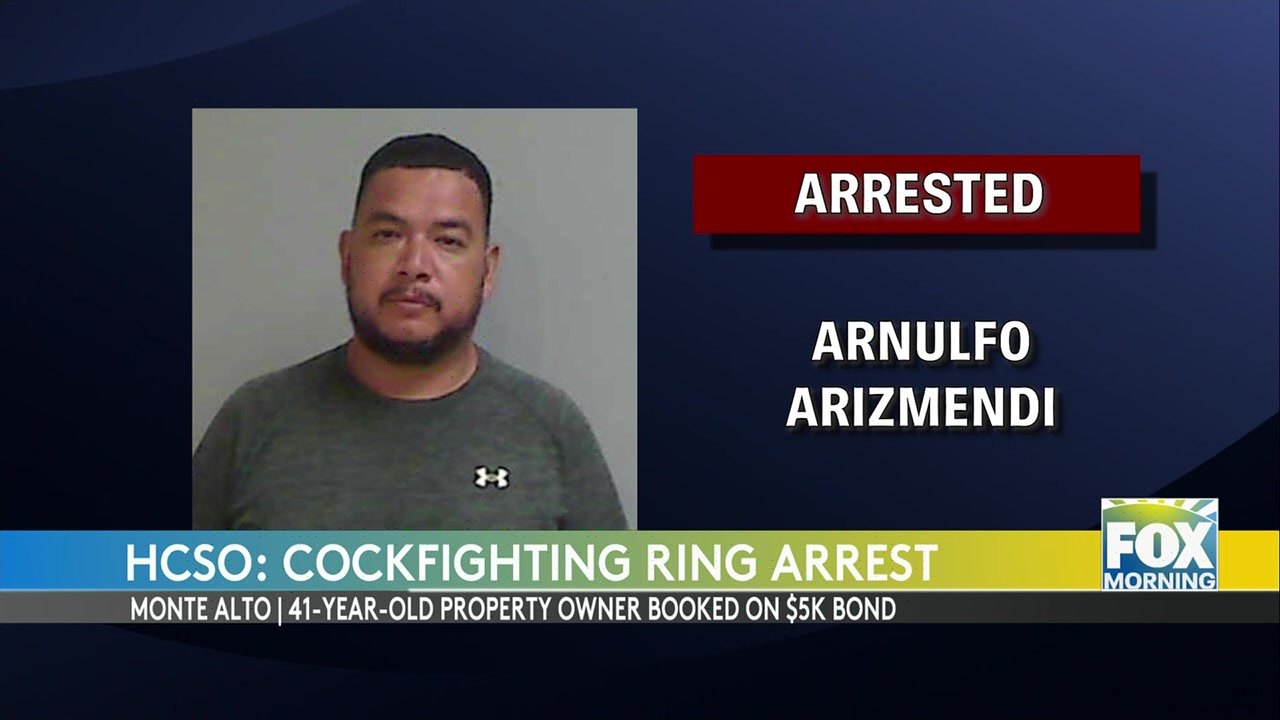 Alleged Monte Alto Cockfighting Ring Busted By Hidalgo County Deputies Monte Alto cockfighting