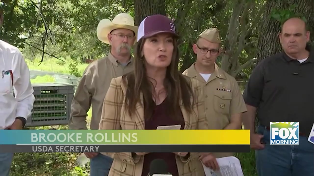 New World Screw-Worm Outbreak: USDA Responds To First U.S. Cases In Decades