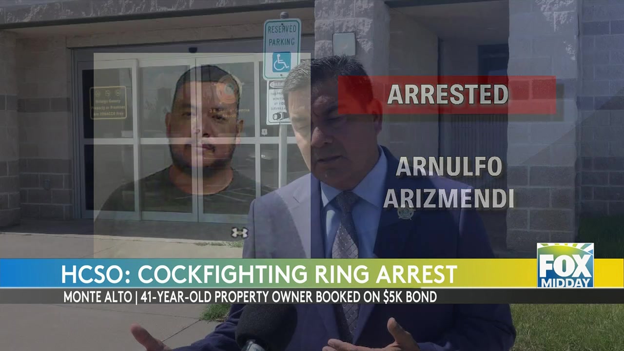 Alleged Cockfighting Operation Busted In Monte Alto cockfighting