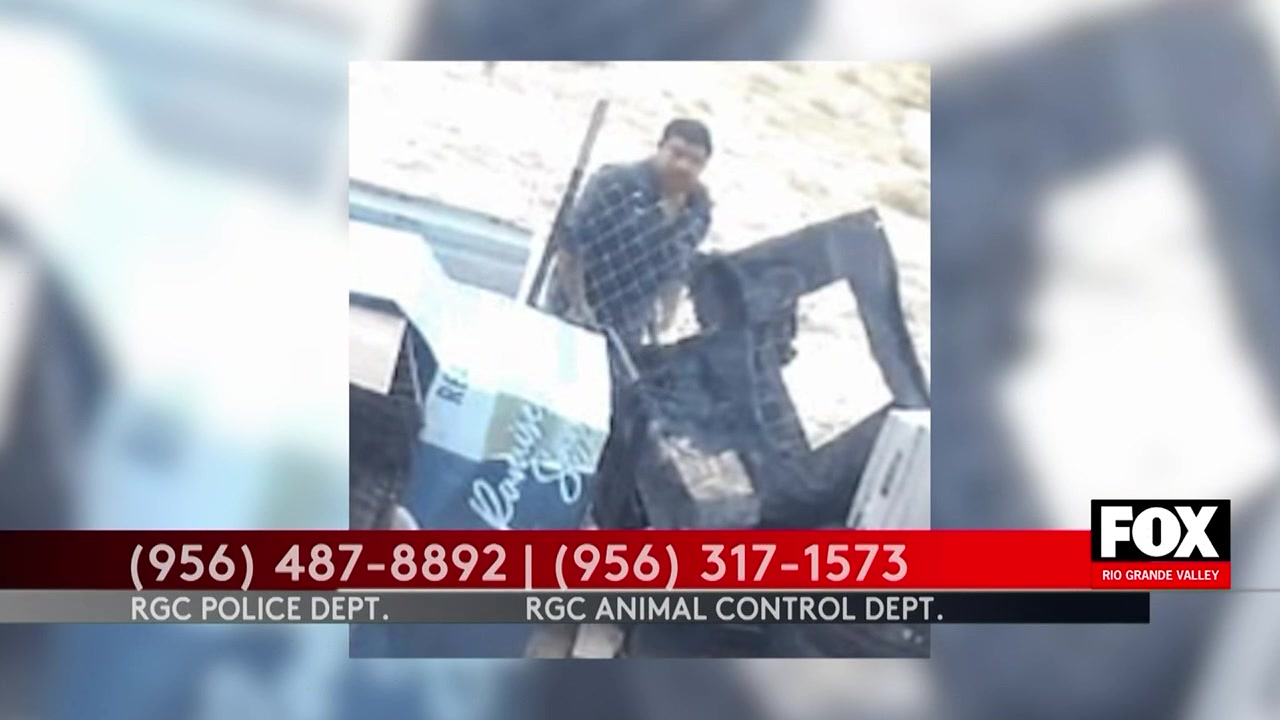 Suspect Sought In Goat Theft As Rio Grande City Police Request Public’s Help
