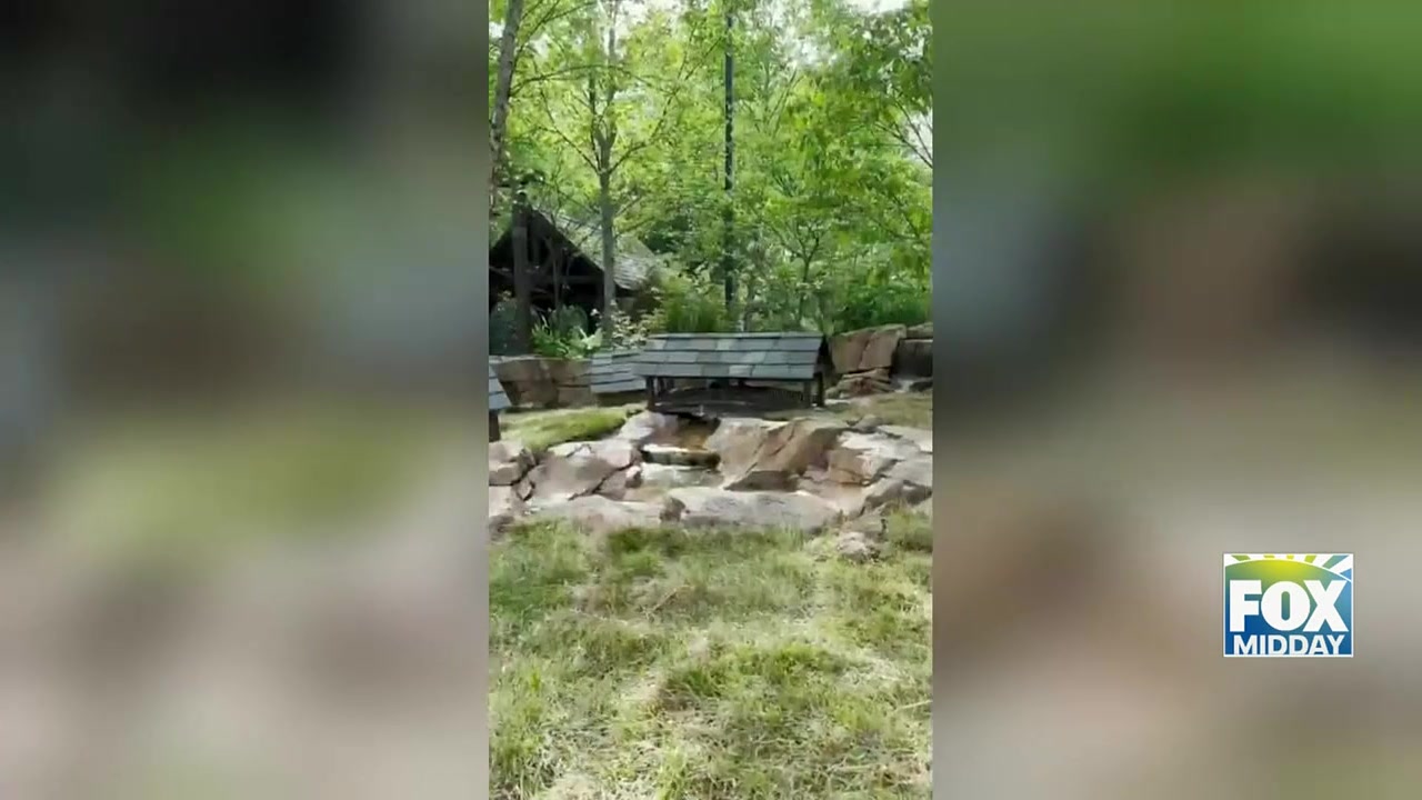 Nashville Zoo Debuts Guinea Pig Village With Luxurious Amenities
