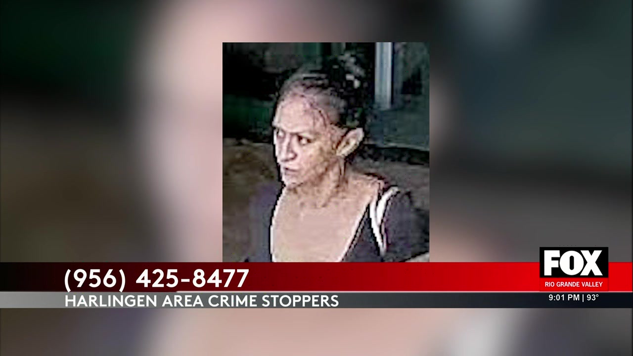 Harlingen Crime: Harlingen Police Seek Suspect In Bass Pro Shops Theft ...