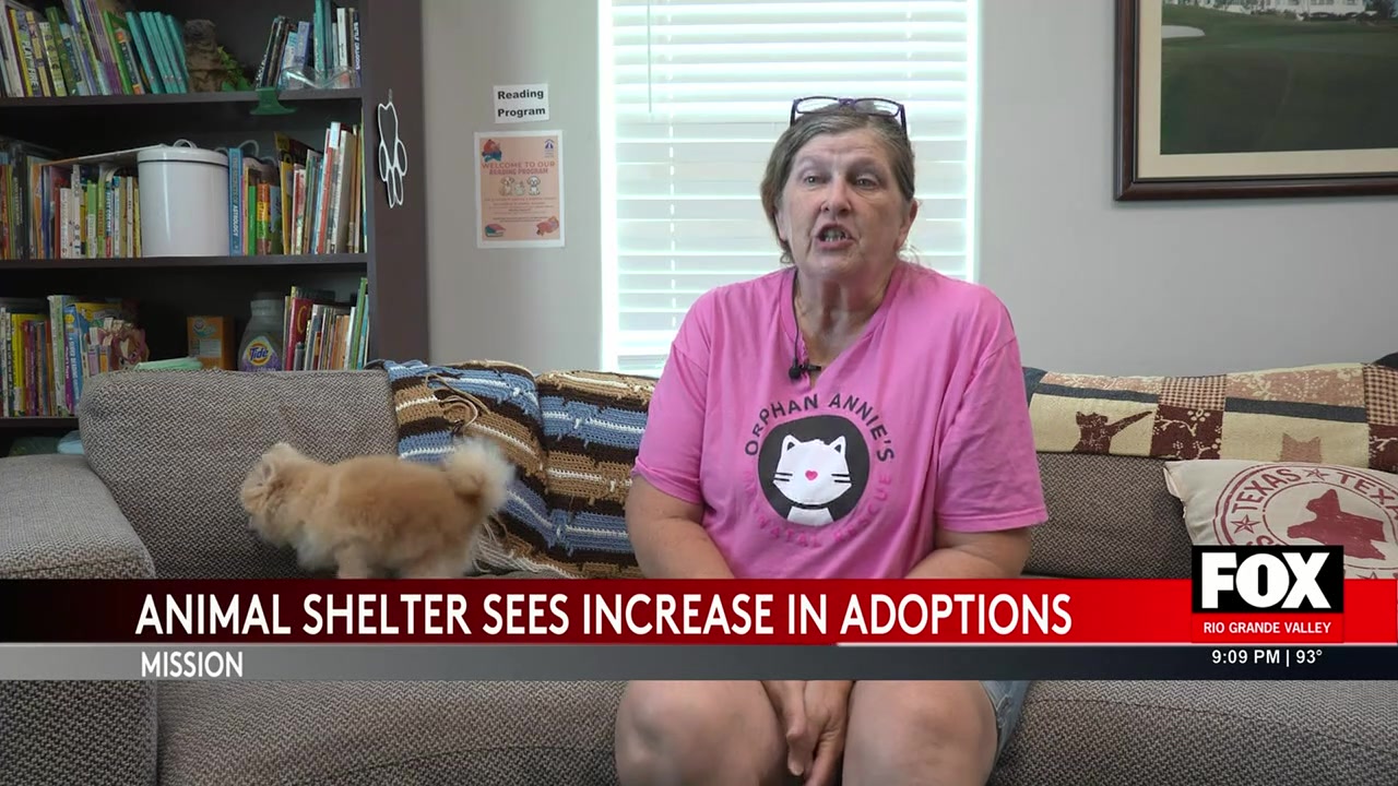 Mission Animal Shelter Celebrates Surge In Adoptions, Faces Ongoing Overpopulation Crisis