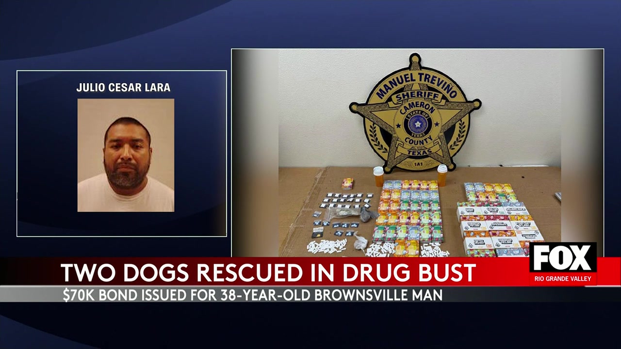 Brownsville Drug Bust: Brownsville Man Arrested On Drug And Animal Cruelty Charges Following Sheriff's Bust Brownsville drug bust