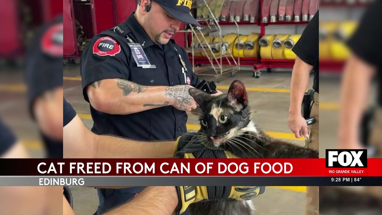 Edinburg Firefighters Rescue Cat From Can, Show Community Spirit