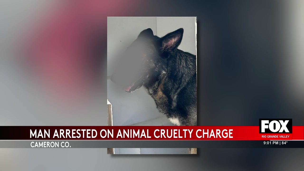 Cameron County Man Arrested For Animal Cruelty After German Shepherd ...
