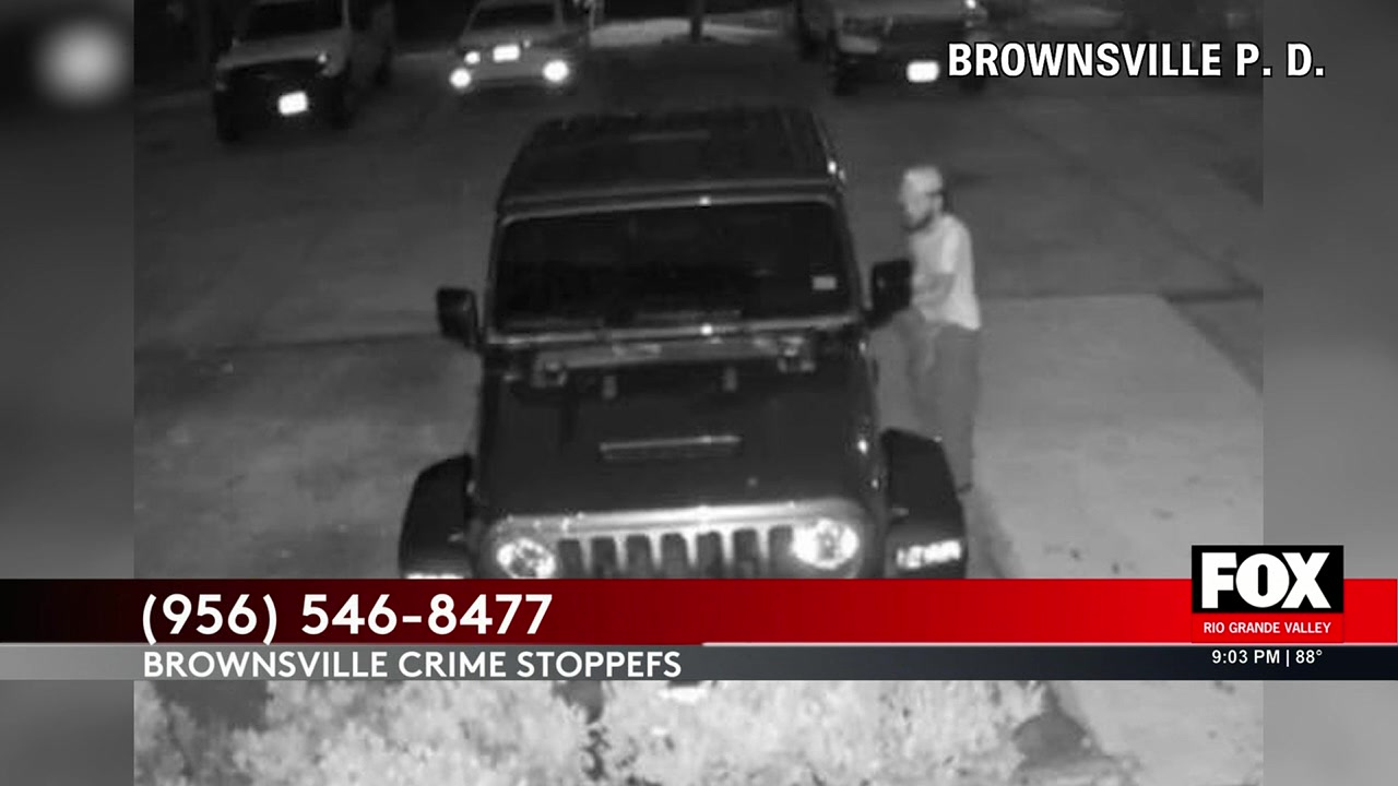 Brownsville Vehicle Burglary: Brownsville Police Seek Public’s Help In Recent Vehicle Burglary