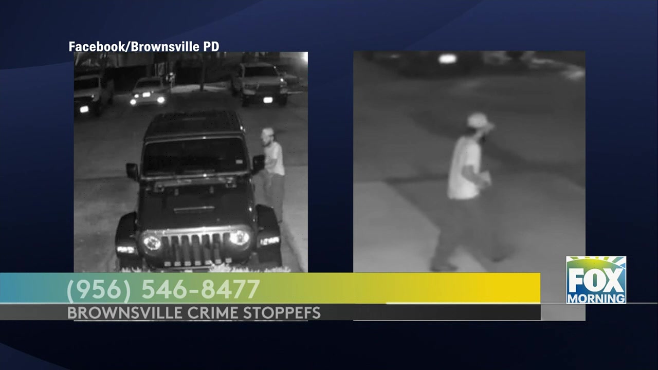 Brownsville Vehicle Burglary: Brownsville Police Seek Public’s Help To ...