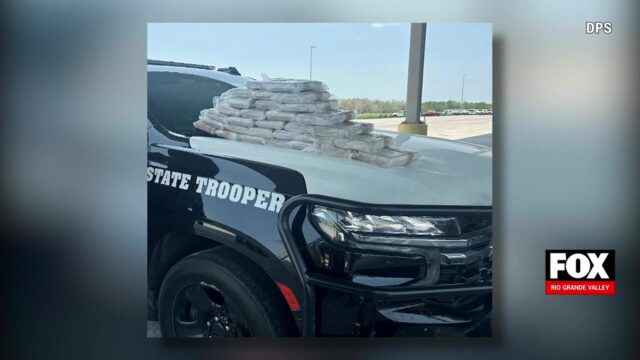 Encino Cocaine Bust: Nearly $800,000 In Cocaine Seized During DPS Traffic Stop In Encino