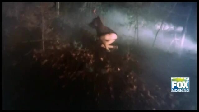Classic Terror Returns: ‘The Evil Dead’ 45th Anniversary 4K And Blu-ray Release