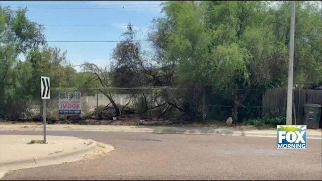 Laredo Teen Arrested For Starting Grass Fire With Fireworks
