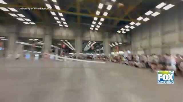 Guinness World Record: Students At University Of Pisa Build World’s Largest Paper Airplane, Shatter Guinness Record