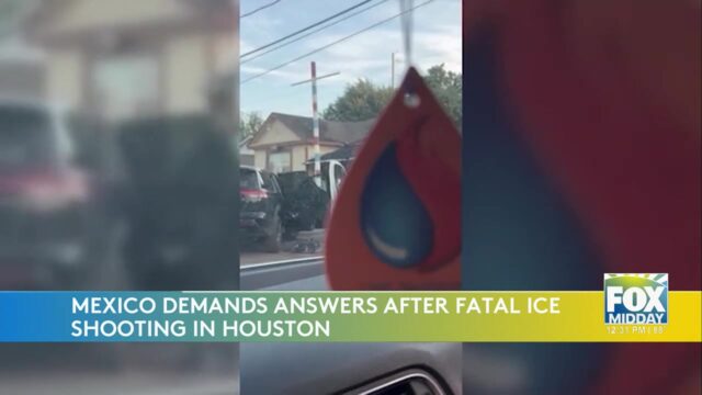 ICE Shooting: Mexican Migrant Fatally Shot By ICE Agent In Houston Sparks Legal Action