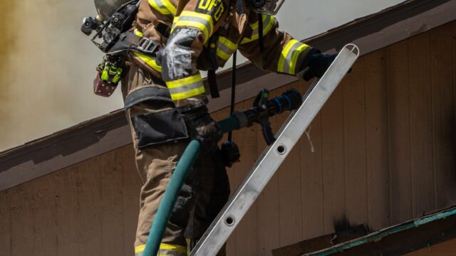Alamo firefighters rescue kitten during vehicle fire