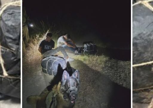 Two Suspects Arrested After More Than 71 Pounds of Marijuana Seized