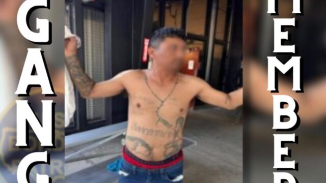 Mexican National Arrested in Mission, Texas, Over Prior Conviction and Alleged Gang Ties